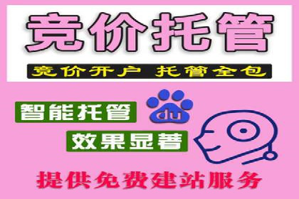 专业SEM代运营公司案例分享：品牌曝光秘诀